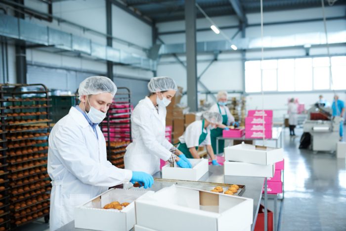 food manufacturing PPE