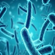 Pathogen & Indicator Organism Testing